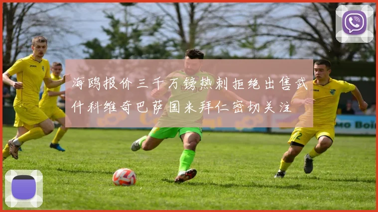 海鸥报价三千万镑热刺拒绝出售武什科维奇巴萨国米拜仁密切关注
