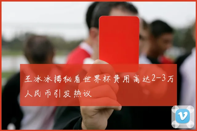 王冰冰揭秘看世界杯费用高达2-3万人民币引发热议