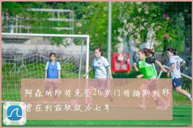 阿森纳即将免签26岁门将梅斯利耶曾在利兹联效力七年