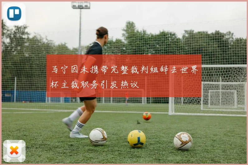 马宁因未携带完整裁判组辞去世界杯主裁职务引发热议
